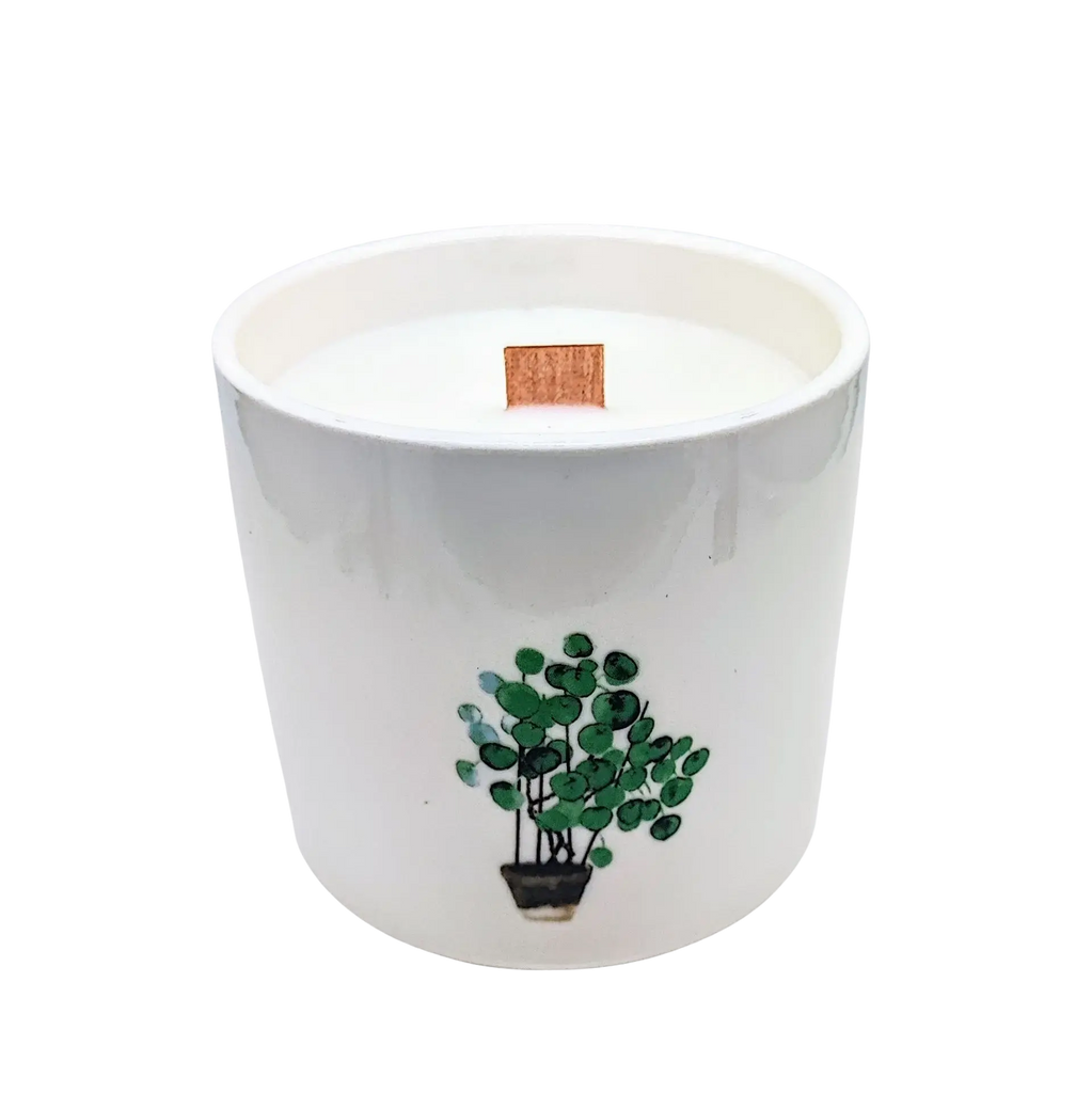 Soy Candle -Botanical Garden -Mullberry Harvest Plant