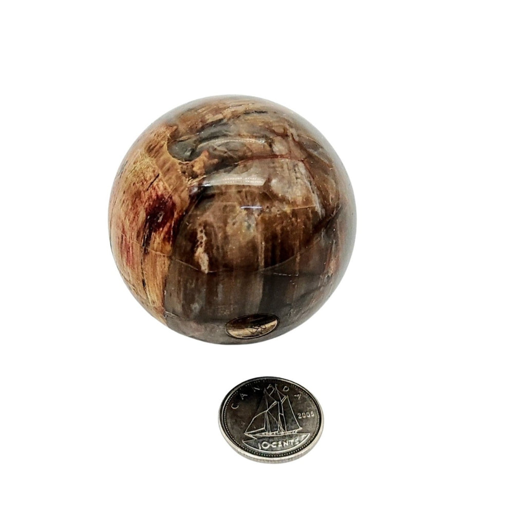 Sphere -Petrified Wood Stone -Madagascar Sphere Aromes Evasions 