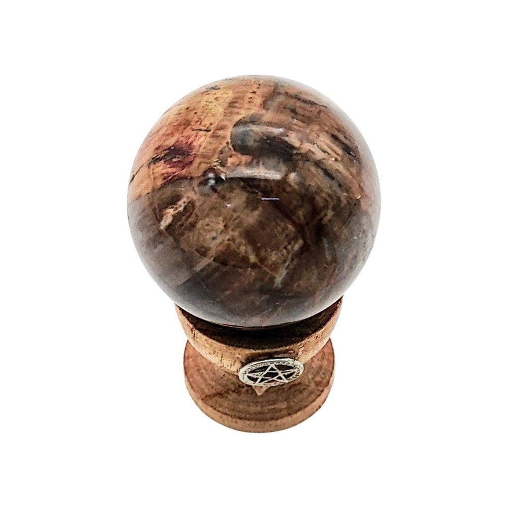 Sphere -Petrified Wood Stone -Madagascar