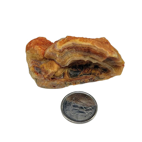 Stone -Crazy Lace Agate -Rough