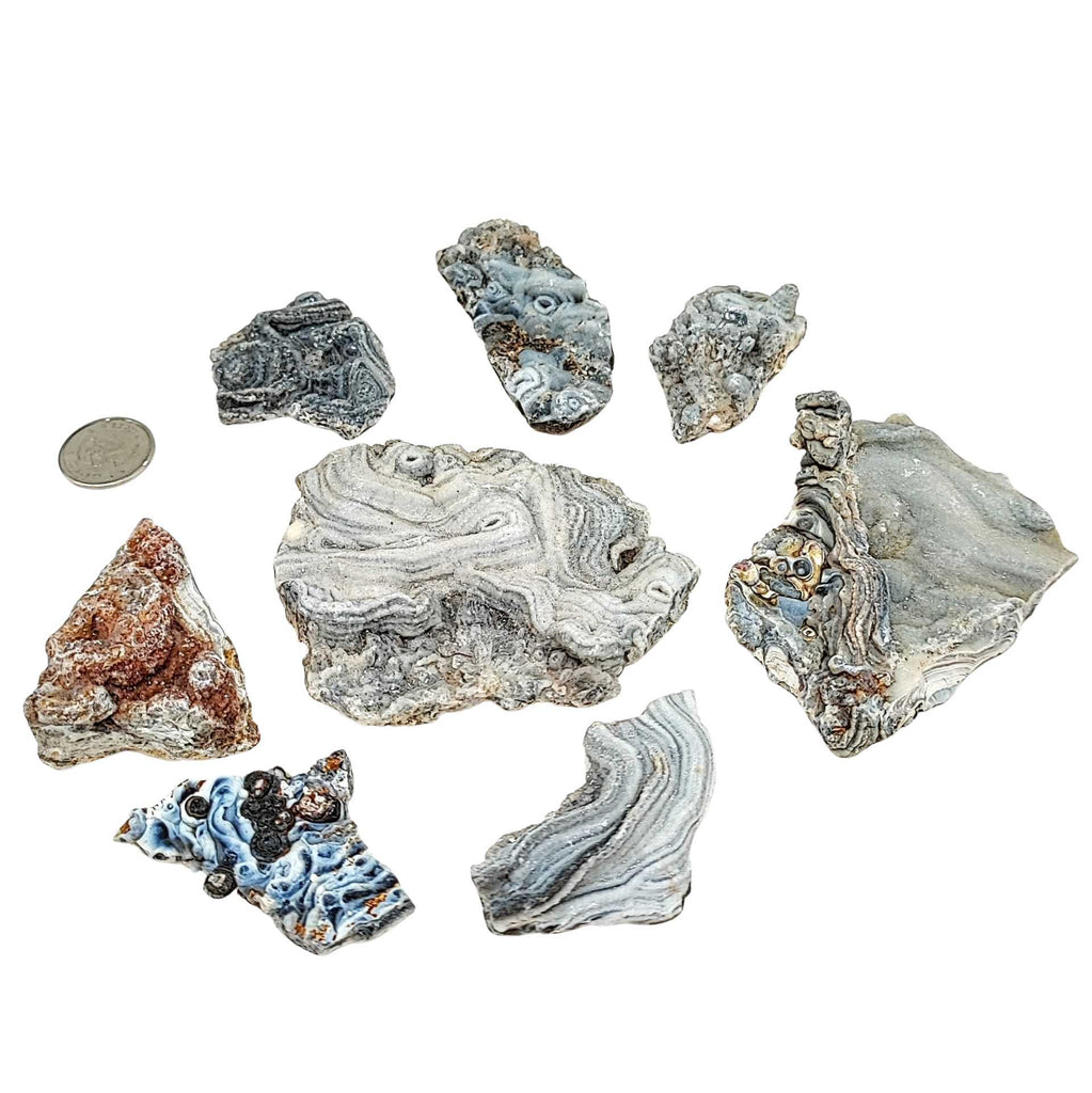 Stone -Agate Natural Druze -Shape Shell -Specimen -Specimen -Aromes Evasions 