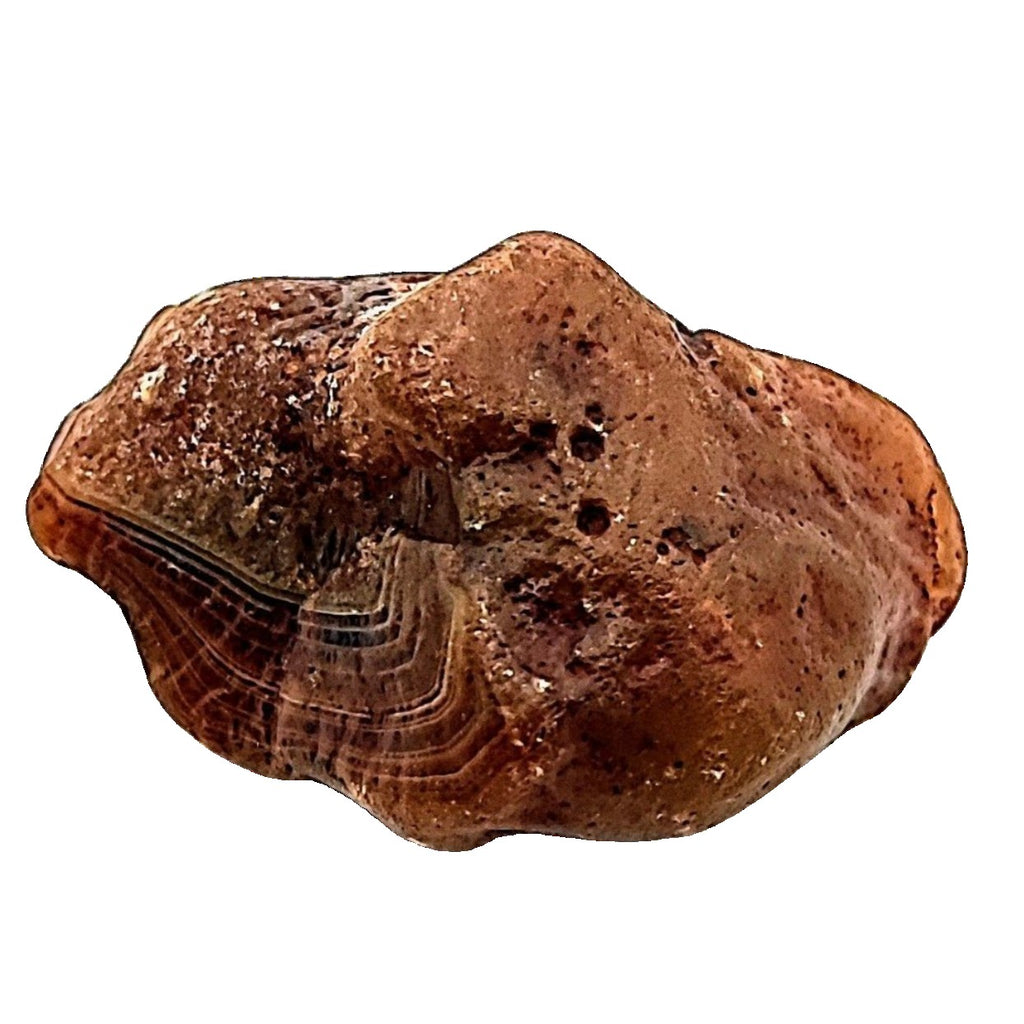 Stone -Carnelian -Rough -Extra Large Extra Large Aromes Evasions 