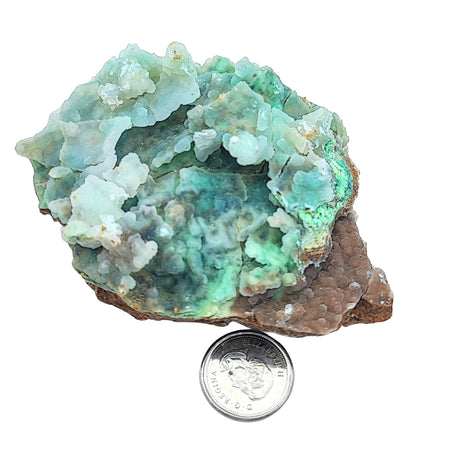 Stone - Chrysoprase - Rough - 59g to 123g