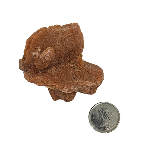 Stone -Desert Rose -Morroco -Rough -Extra Large