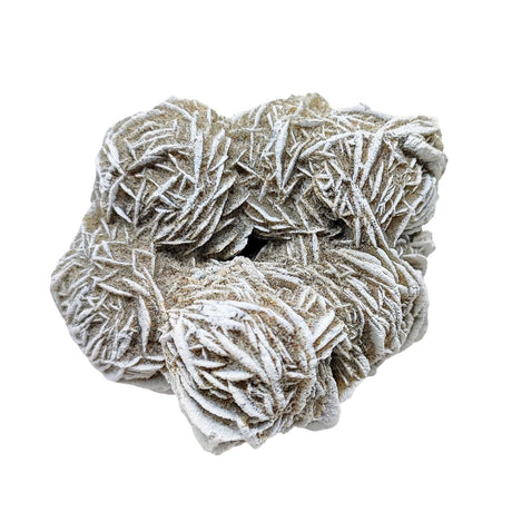 Stone -Desert Rose -Rough -Specimen -133g