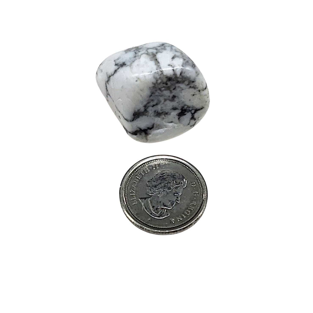 Stone -Howlite -Tumbled -Extra Small Arômes & Évasions.