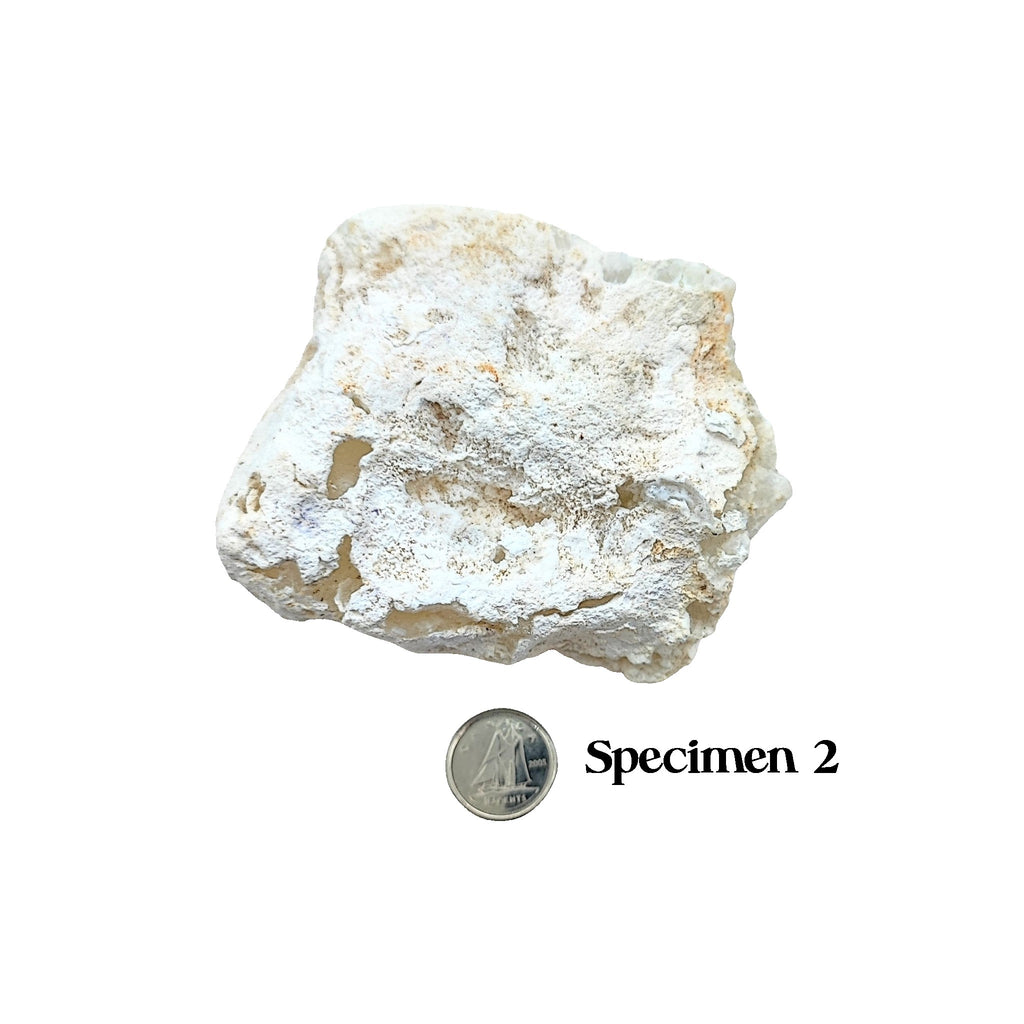 Stone -Jade -White -Rough -4" to 9" Specimen 2: 190g