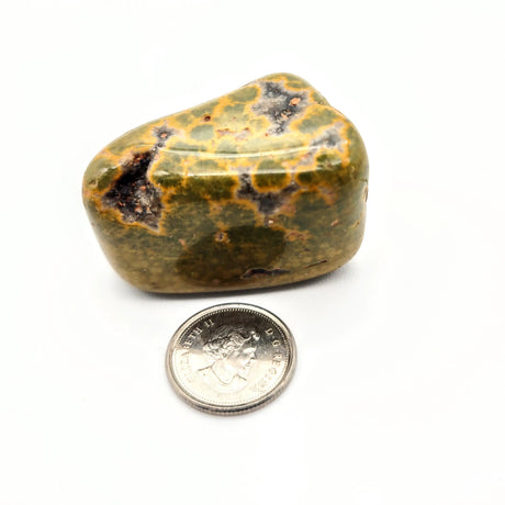 Stone -Jasper -Sea -Tumbled