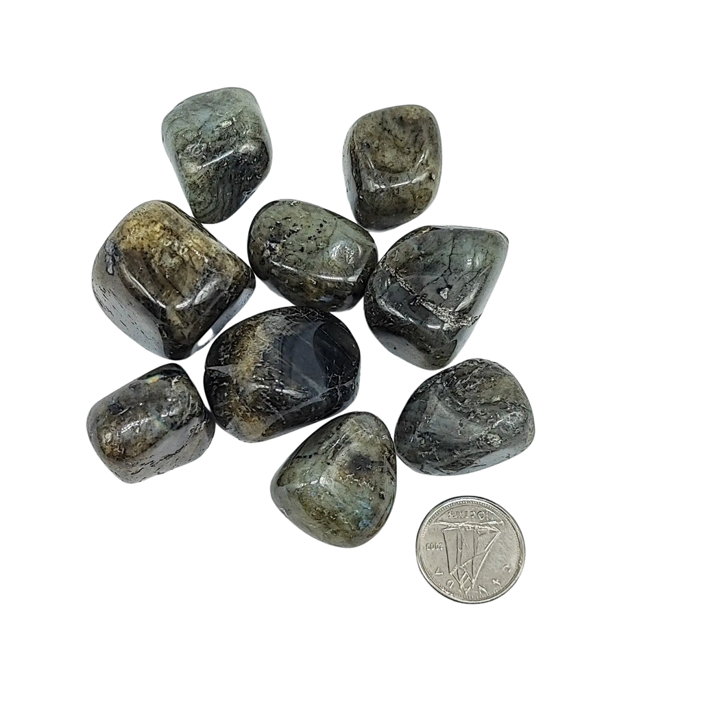 Stone -Labradorite -Tumbled Arômes & Évasions.
