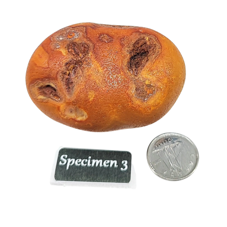 Stone -Natural Palm Agate -Rough Specimen 3: 80g