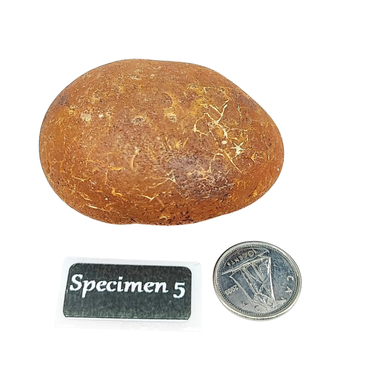 Stone -Natural Palm Agate -Rough Specimen 5: 79g