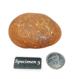 Stone -Natural Palm Agate -Rough Specimen 5: 79g