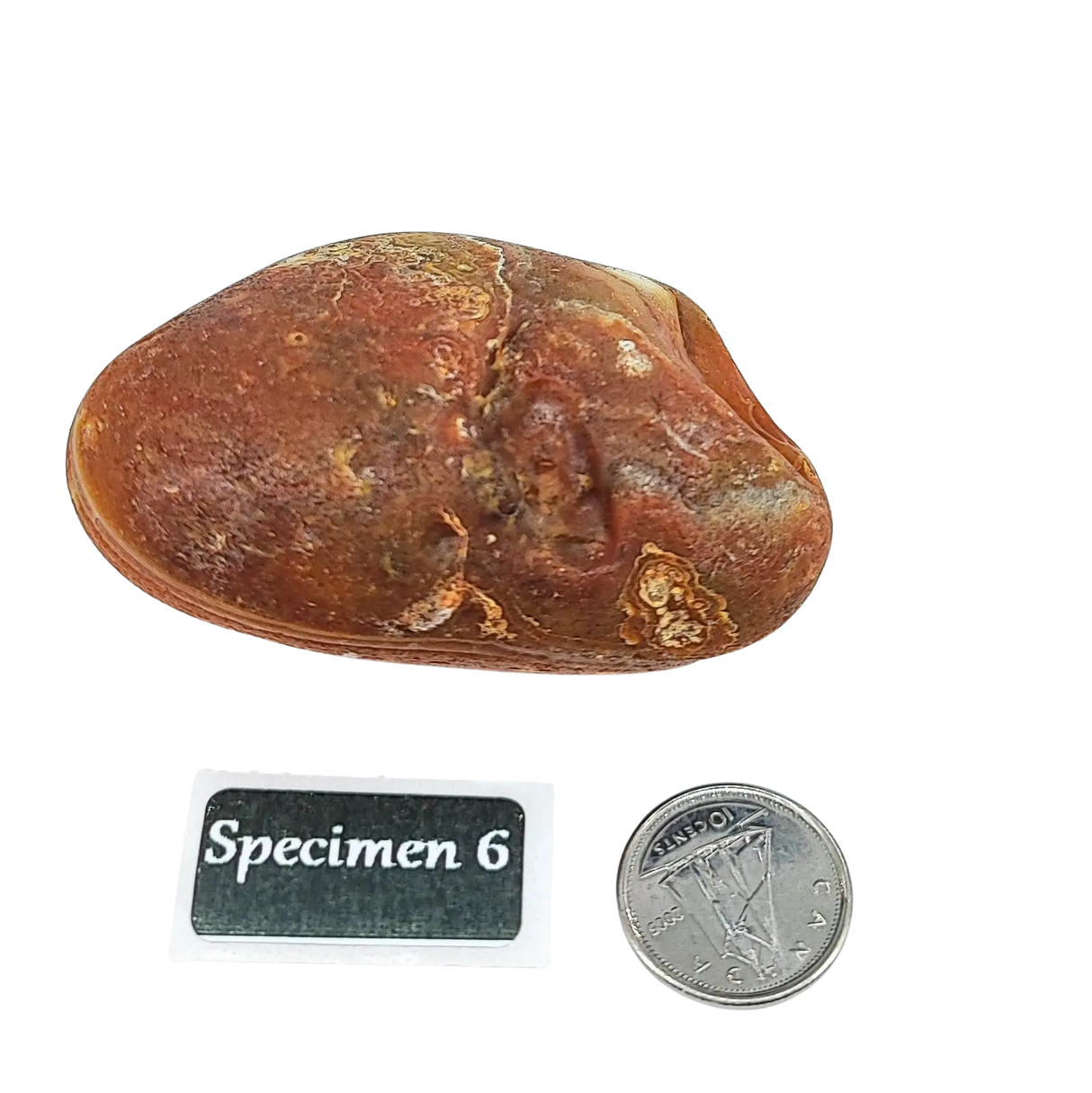 Stone -Natural Palm Agate -Rough Specimen 6: 90g