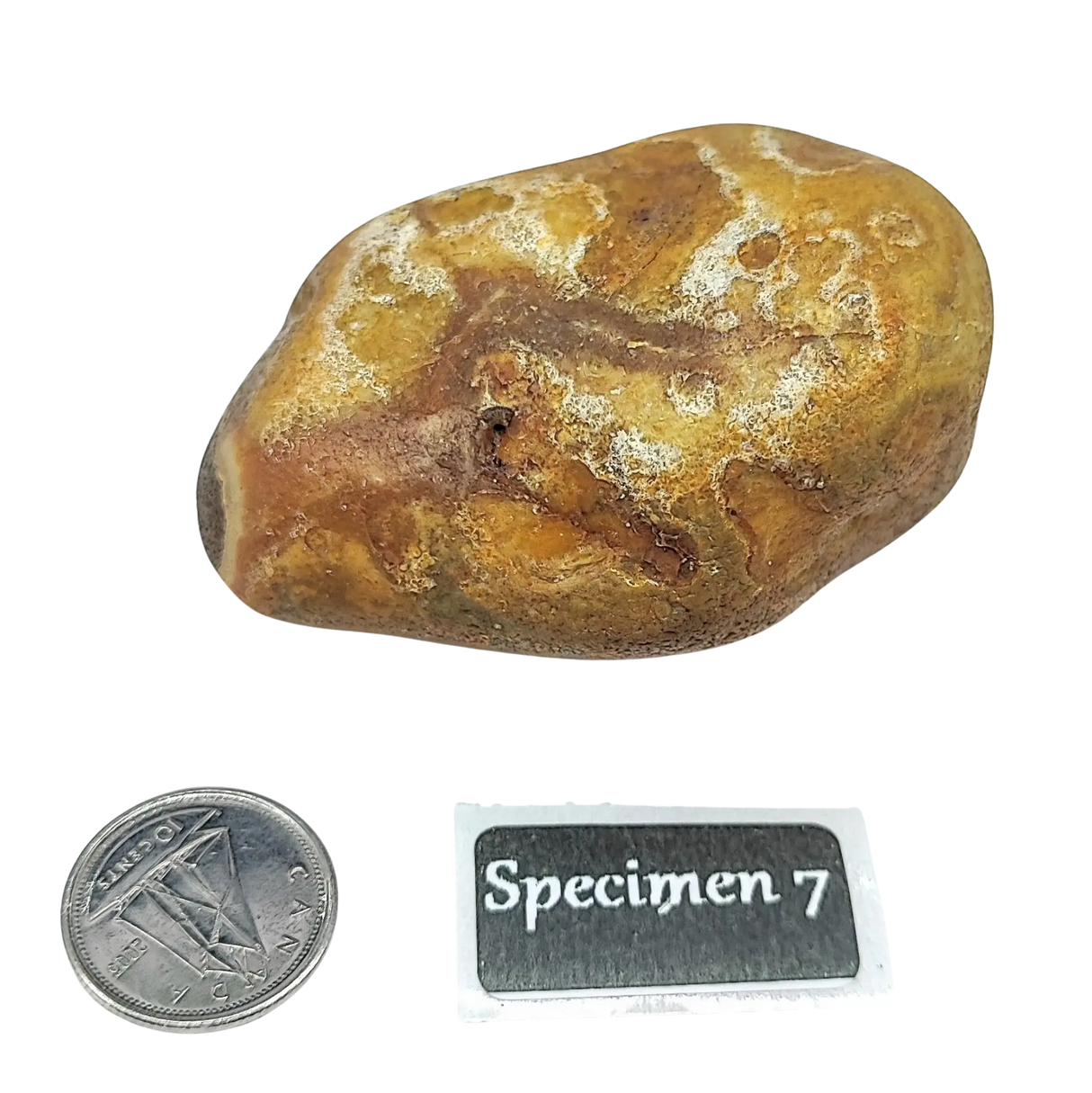 Stone -Natural Palm Agate -Rough Specimen 7: 100g