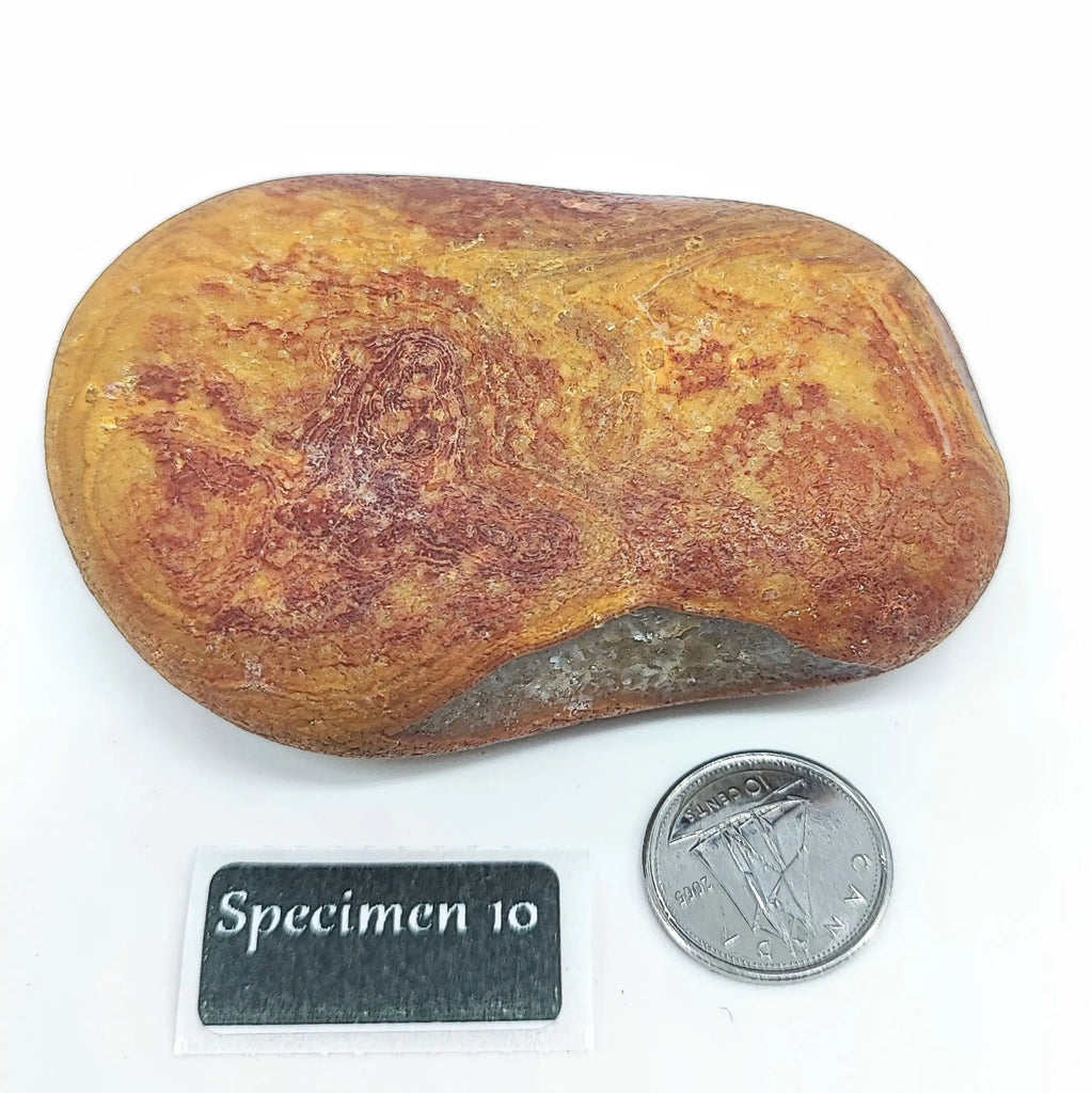 Stone -Natural Palm Agate -Rough Specimen 10: 134g