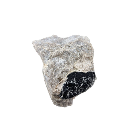 Stone -Obsidian -Apache Tear in Matrix -Rough -156g