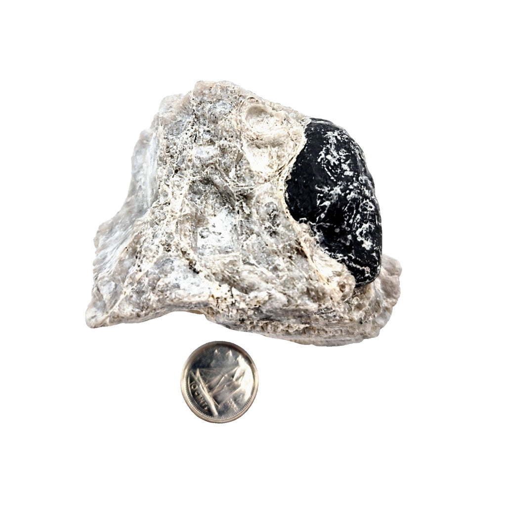 Stone -Obsidian -Apache Tear in Matrix -Rough -156g