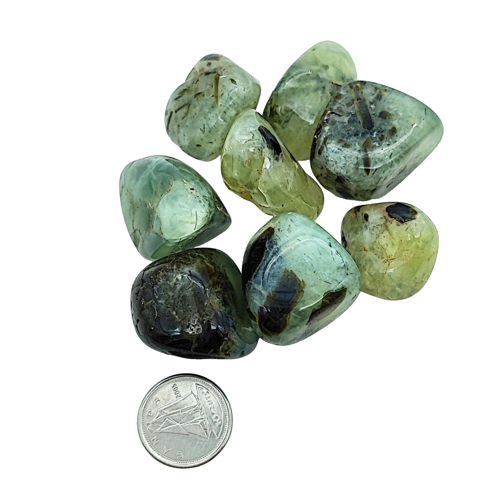Stone -Prehnite -Rutile -Tumbled -Medium