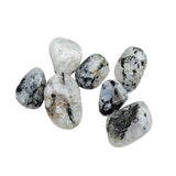 Stone -Rainbow Moonstone -Tumbled