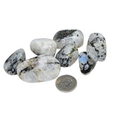 Stone -Rainbow Moonstone -Tumbled