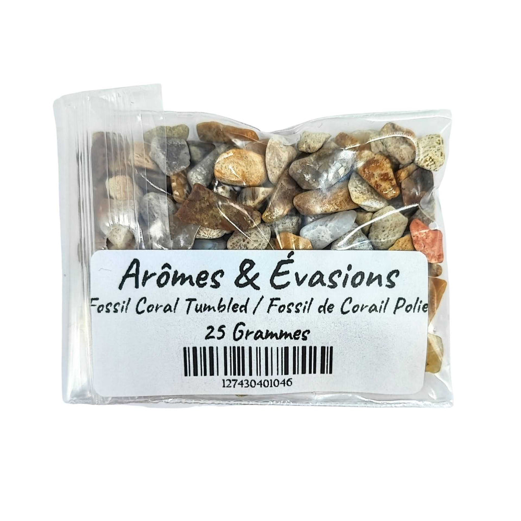 Stone -Rough Chips -Fossil Coral -6 to 8mm 25 g