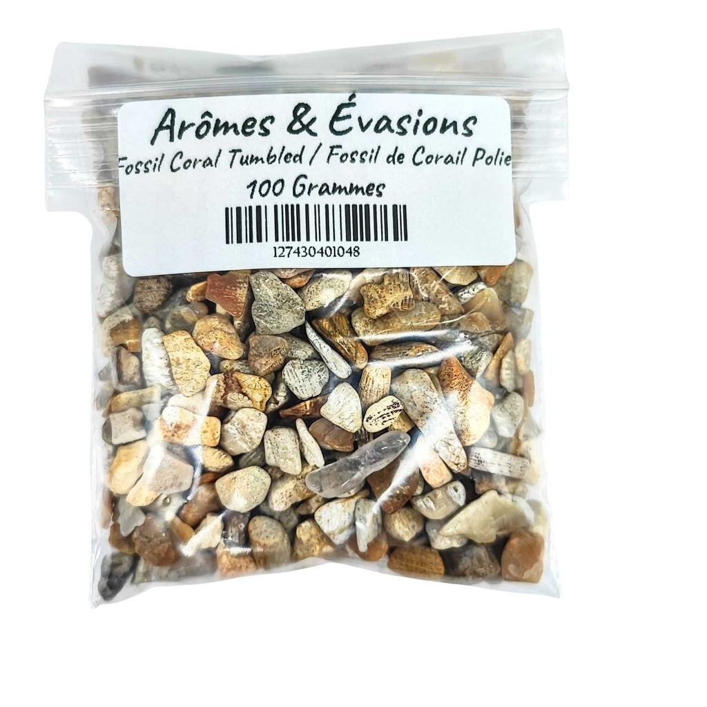 Stone -Rough Chips -Fossil Coral -6 to 8mm 100 g